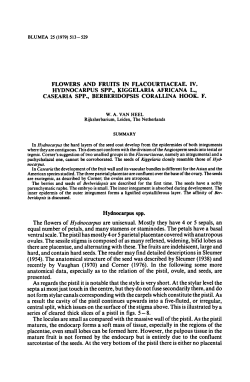 spp., spp., Hydnocarpus spp. pistil. As the pistil tissue, especially