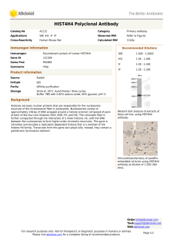 HIST4H4 Polyclonal Antibody