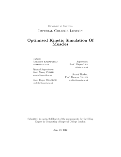 Optimised Kinetic Simulation Of Muscles
