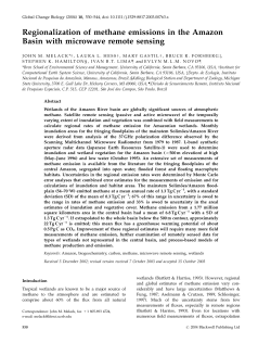 Regionalization of methane emissions in the Amazon