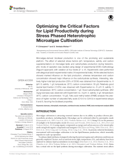 Optimizing the Critical Factors for Lipid Productivity during Stress