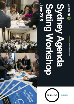 Agenda setting workshop summary report