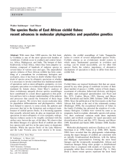 The species flocks of East African cichlid fishes: recent advances in