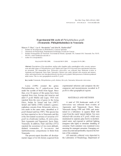 Experimental life cycle of Philophthalmus gralli
