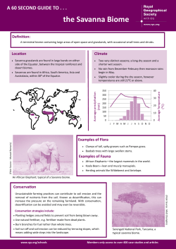 the Savanna Biome