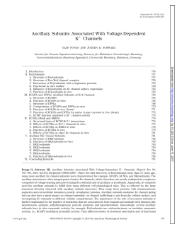 Ancillary Subunits Associated With Voltage
