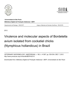 (Nymphicus hollandicus) in Brazil