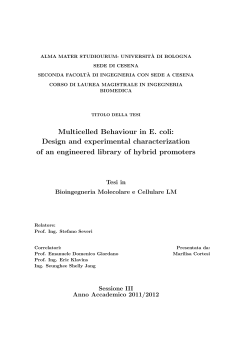 Multicelled Behaviour in E. coli: Design and experimental
