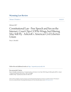 Constitutional Law - Free Speech and Sex on the Internet