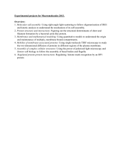 1. Molecular self-assembly