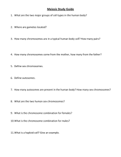 Meiosis Study Guide