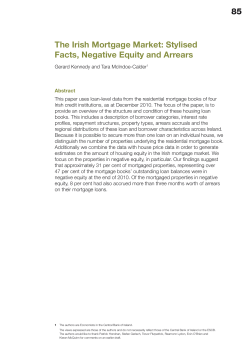 85 The Irish Mortgage Market: Stylised Facts, Negative Equity and