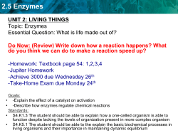 2.5 Enzymes