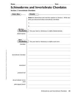 Echinoderms and Invertebrate Chordates