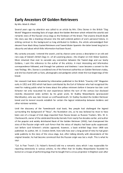 Early Ancestors Of Golden Retrievers