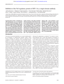 Inhibition of the Nef regulatory protein of HIV-1 by a single