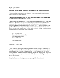 Day 5: April 12, 2005 Restriction enzyme digests, agarose