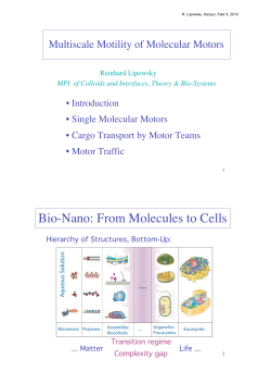 Bio-Nano: From Molecules to Cells