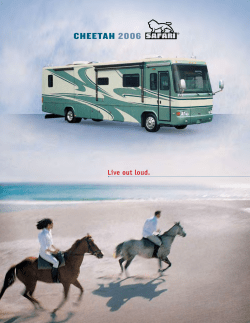 2006 Cheetah Brochure