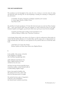 THE METAMORPHOSIS The scarab&aelig;us was the hieroglyph of the