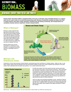 Electricity from Biomass