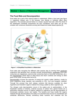 The Food Web and Decomposition - Mekong Watersheds Information