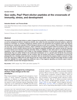 PDF - Oxford Academic - Oxford University Press