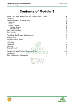 Nursery Workers Programme Learner Guide Module 03
