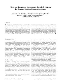 Delayed Response to Animate Implied Motion in Human Motion