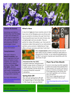 Lacoste Newsletter - Lacoste Garden Centre