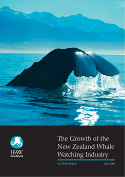 The Growth of the New Zealand Whale Watching Industry