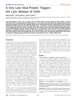 A Very Late Viral Protein Triggers the Lytic Release of SV40