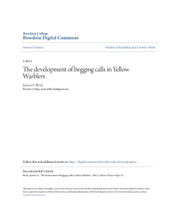 The development of begging calls in Yellow Warblers