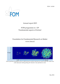 Annual report 2015 FOM programme nr. 129 `Fundamental aspects