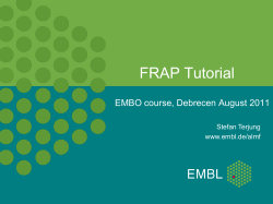 FRAP Tutorial