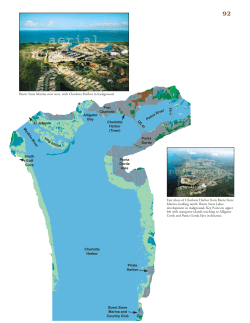 Land use and land cover changes along the shoreline