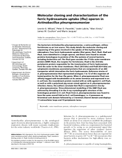 Molecular cloning and characterization of the ferric