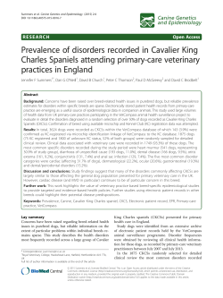 Prevalence of disorders recorded in Cavalier King Charles Spaniels