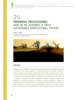 perennial polycultures: how do we assemble a