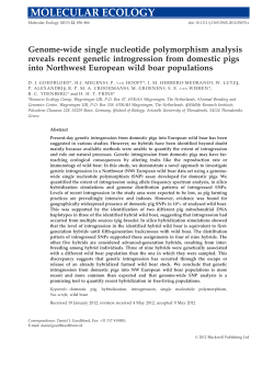 Genome&acirc;&bull;`wide single nucleotide polymorphism analysis reveals
