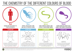 THE CHEMISTRY OF THE DIFFERENT COLOURs OF BLOOD