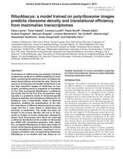 a model trained on polyribosome images predicts ribosome density