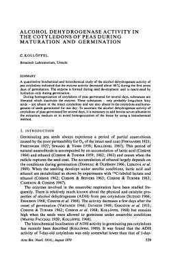 Alcohol dehydrogenase activity in the cotyledons of peas during