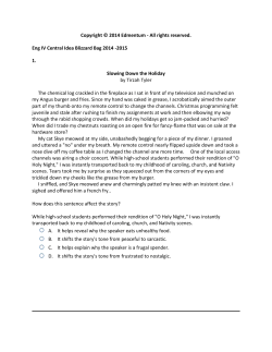 All rights reserved. Eng IV Central Idea Blizzard Bag 2014
