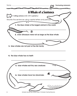 A Whale of a Sentence