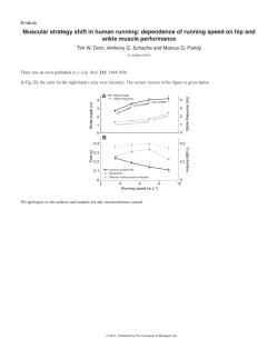 Muscular strategy shift in human running