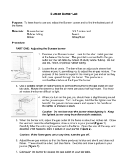 Bunsen Burner Lab