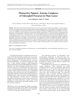 Photoactive Pigment&ndash;Enzyme Complexes of Chlorophyll Precursor
