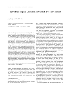 Terrestrial Trophic Cascades: How Much Do They Trickle?