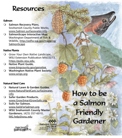 How to be a Salmon Friendly Gardener